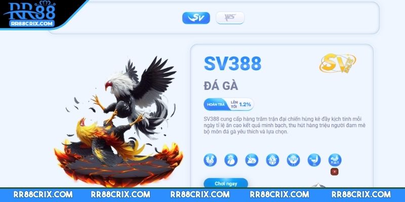 da-ga-rr88-campuchia-noi-the-hien