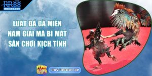 luat-da-ga-mien-nam