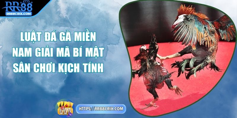 luat-da-ga-mien-nam
