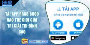 tai-app-rr88